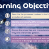 Galaxies: Formation, Types and their Evolution - Image 2